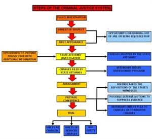 Criminal Case Flow Chart